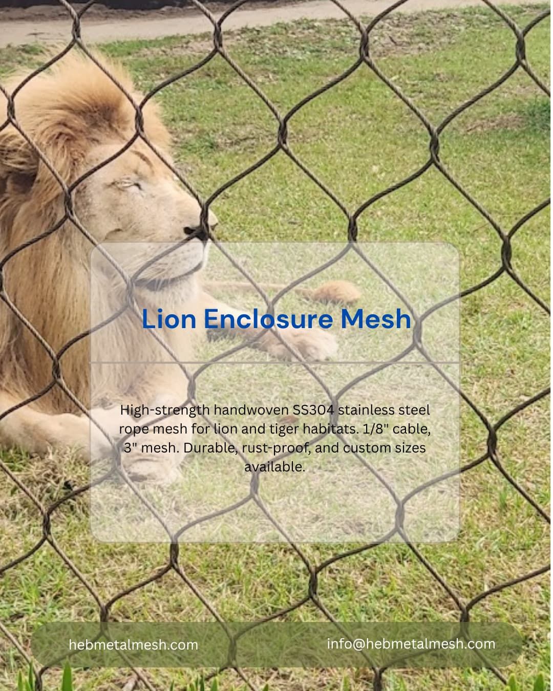 lion-enclosure-mesh-3276 Handwoven stainless steel 304 rope mesh 1/8 inch for lion enclosure
