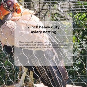 heavy-duty-2-inch-stainless-steel-aviary-netting-for-eagles
