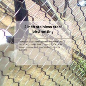 2-inch-aperture-stainless-steel-bird-netting-for-owl-and-hawk-enclosures