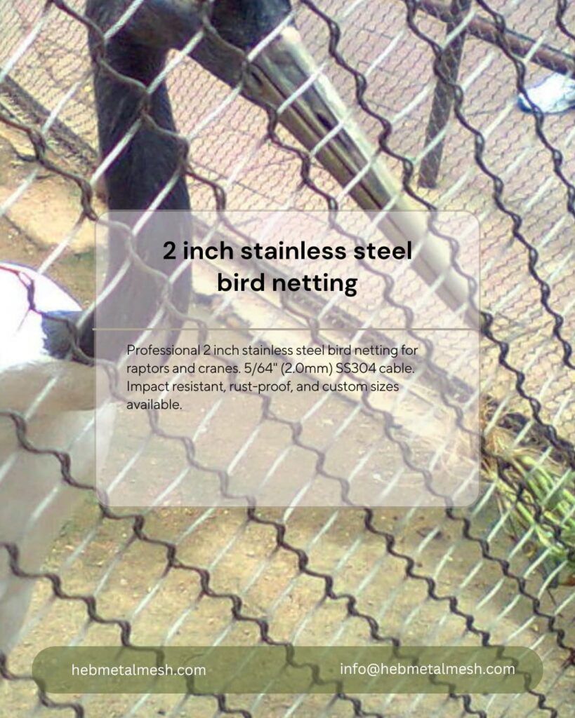 2-inch-aperture-stainless-steel-bird-netting-for-owl-and-hawk-enclosures