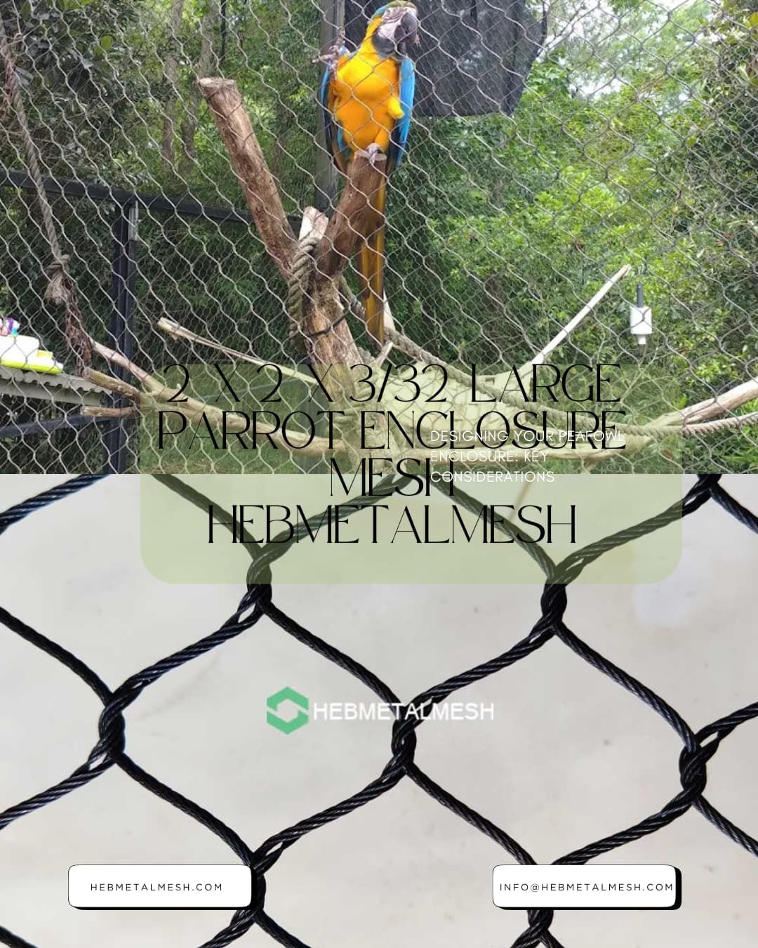 2x2-large-parrot-enclosure-mesh