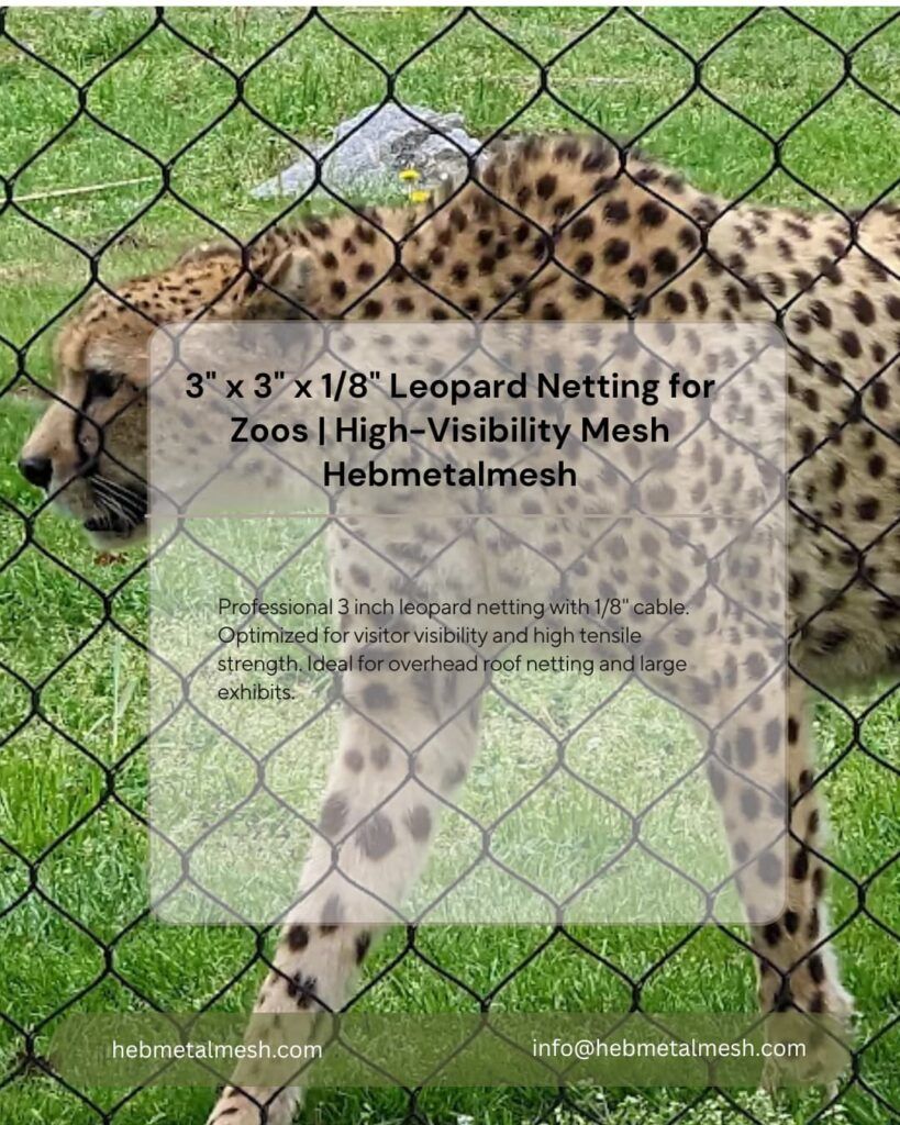 3-inch-stainless-steel-leopard-netting-for-high-visibility-zoo-exhibits