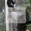 2-inch-stainless-steel-gibbon-enclosure-netting-for-swinging-primates