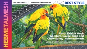 Parrot exhibit mesh – aperture, gauge and chew safety for hookbill aviaries by Hebmetalmesh; flat vector illustration of sun conure parrots behind full-coverage handwoven stainless steel wire rope netting in a zoo bird exhibit.