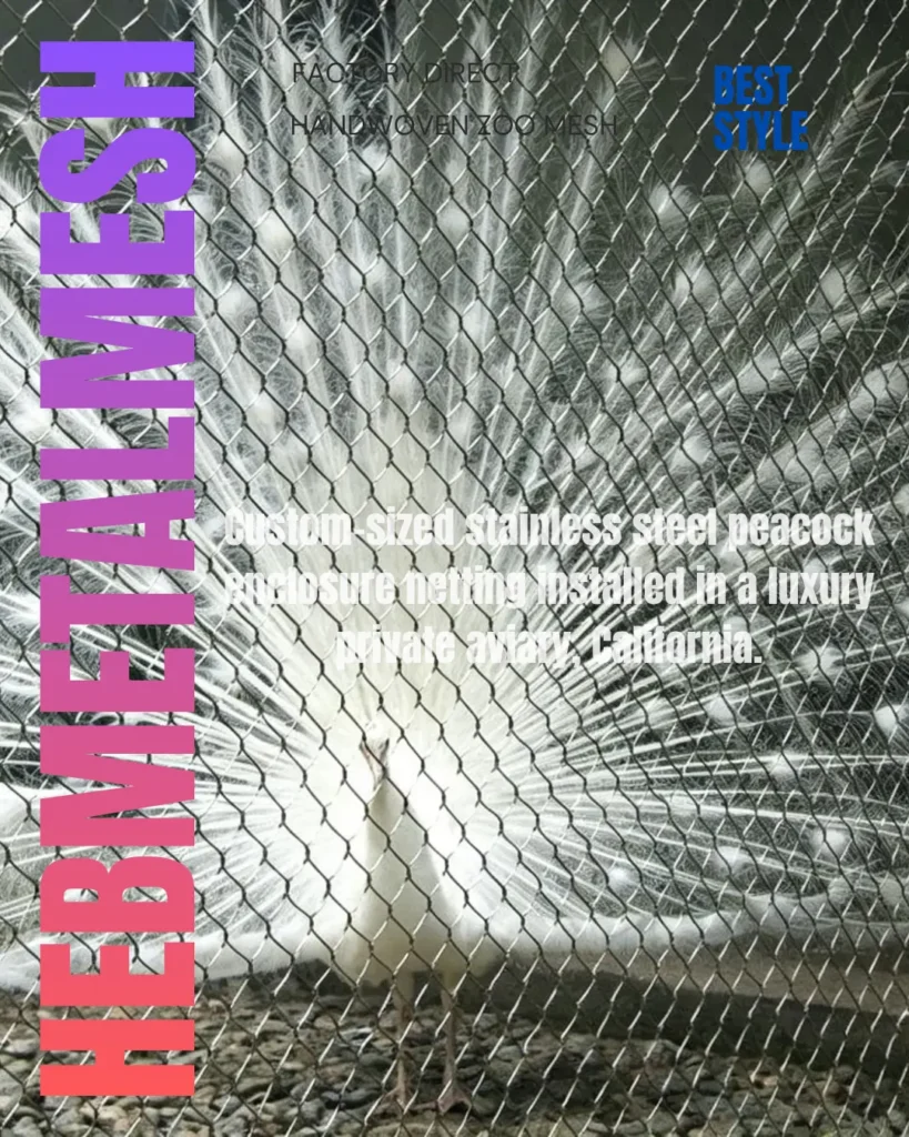Tailored stainless steel aviary netting providing optimal visibility and security in a public zoo, Australia.