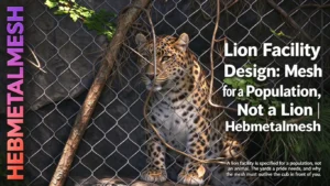 Lion facility design: mesh for a population, not a lion by Hebmetalmesh. Stainless steel rope mesh big cat enclosure with leopard in rocky habitat, engineered for pride yards and long-term durability.